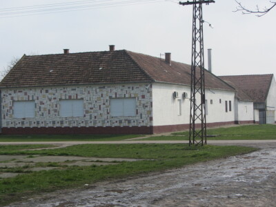 Stočari u Botošu ostali bez pašnjaka Stočari u Botošu ostali bez pašnjaka