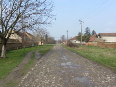 Stočari u Botošu ostali bez pašnjaka Stočari u Botošu ostali bez pašnjaka