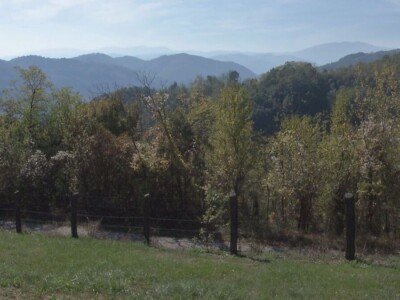 Stočarstvo i ratarstvo najzastupljeniji u valjevskom kraju