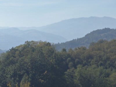 Stočarstvo i ratarstvo najzastupljeniji u valjevskom kraju