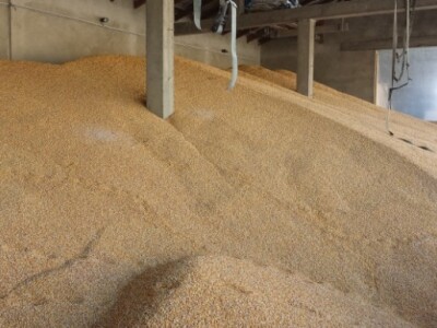 Proizvodnja stočne hrane Proizvodnja stočne hrane