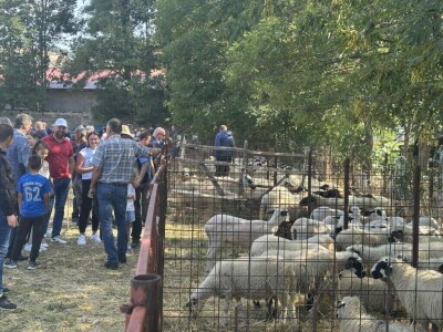 Stočna izložba i gatačka korida
