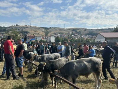 Stočna izložba i gatačka korida