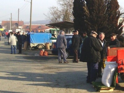 Najviše se nudi kukuruz