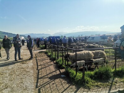 Stočna pijaca u Sarajevu