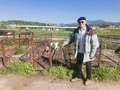 Stočna pijaca u Sarajevu