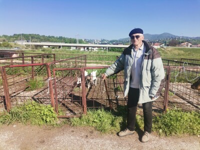 Stočna pijaca u Sarajevu