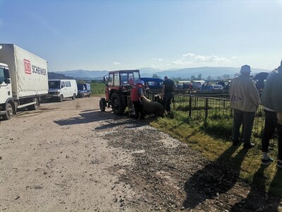 Stočna pijaca u Sarajevu