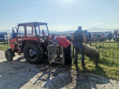 Stočna pijaca u Sarajevu