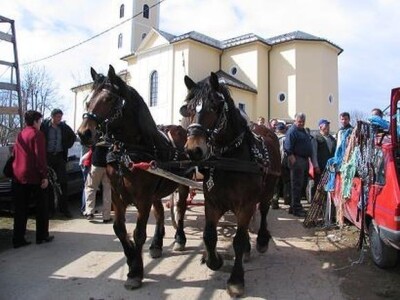 Povorka zaprega i jahača na stočnom sajmu u Cetingradu Povorka zaprega i jahača na stočnom sajmu u Cetingradu