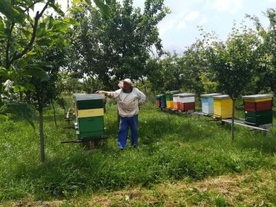 Stojan Veljković ima 61 godinu staža u pčelarstvu