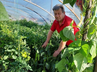 Stojana i Srba Stojana i Srba