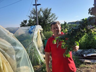 Stojana i Srba Stojana i Srba