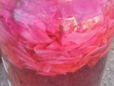 Stolačke đakonije Stolačke đakonije