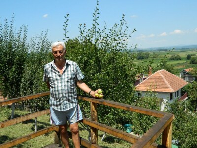 Stoletna jabuka kao uspomena na pretke