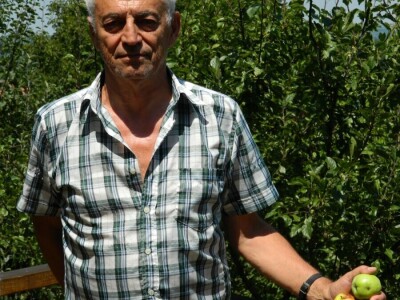 Stoletna jabuka kao uspomena na pretke