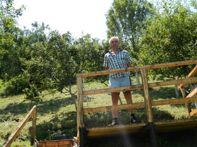 Stoletna jabuka kao uspomena na pretke