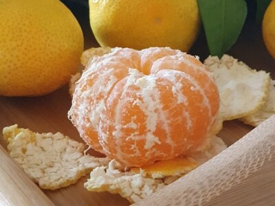 Stoljetna tradicija na OPG-u Vušković