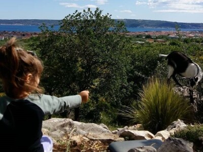 Stoljetna tradicija na OPG-u Vušković