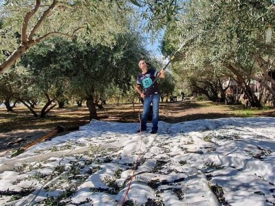 Stoljetna tradicija na OPG-u Vušković