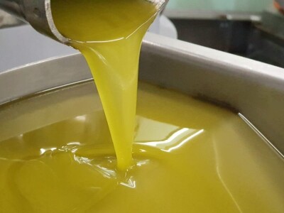 Stoljetna tradicija na OPG-u Vušković