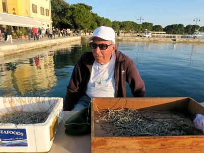 Stoljetna tradicija soljenja srdela