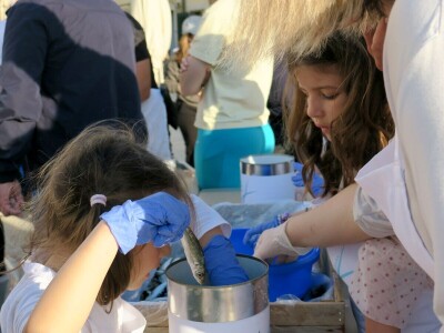Stoljetna tradicija soljenja srdela