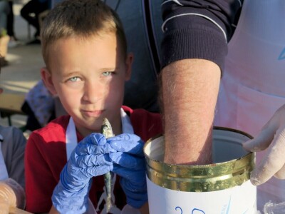 Stoljetna tradicija soljenja srdela