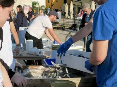 Stoljetna tradicija soljenja srdela
