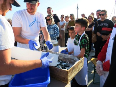 Stoljetna tradicija soljenja srdela