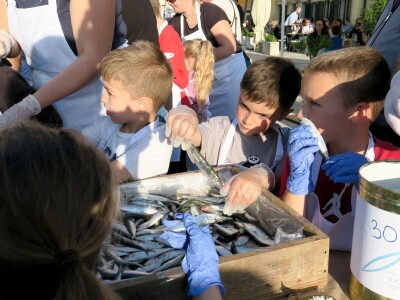 Stoljetna tradicija soljenja srdela