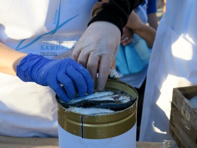 Stoljetna tradicija soljenja srdela