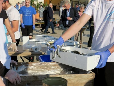 Stoljetna tradicija soljenja srdela