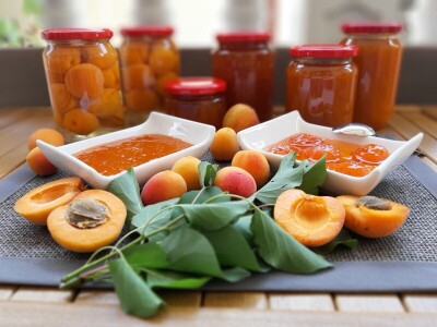 Stopama predaka proizvode i prerađuju voće i povrće