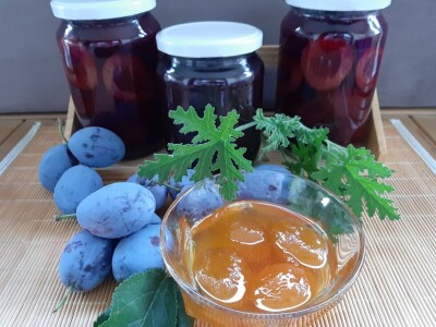 Stopama predaka proizvode i prerađuju voće i povrće