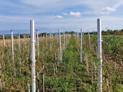 Stoprocentna šteta od grada u Gložanu