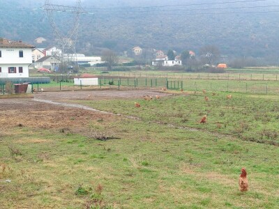 Stradala poljoprivredna imanja u Hercegovini