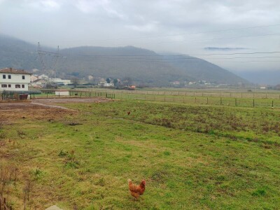 Stradala poljoprivredna imanja u Hercegovini
