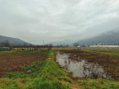 Stradala poljoprivredna imanja u Hercegovini