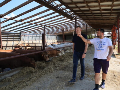 Stradale farme u Općini Strizivojna