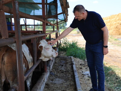 Stradale farme u Općini Strizivojna