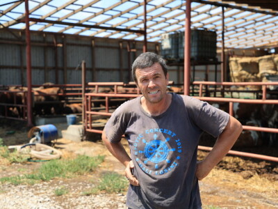 Stradale farme u Općini Strizivojna