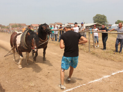 Na ulasku u cilj Na ulasku u cilj