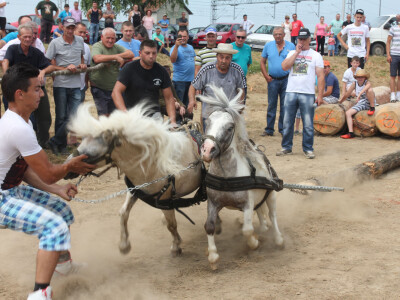 Izvan konkurencije 2 ponija Izvan konkurencije 2 ponija