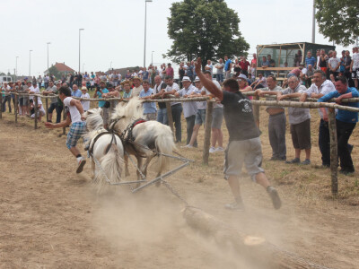 Žestoko su povukli manji trupac Žestoko su povukli manji trupac
