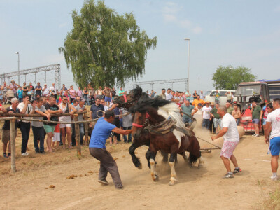 Štraparijada okupila veći broj gledatelja Štraparijada okupila veći broj gledatelja