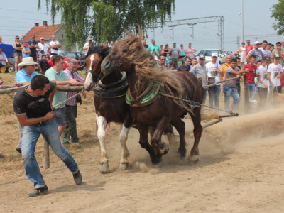 Trupac treba odvući 100 metara Trupac treba odvući 100 metara