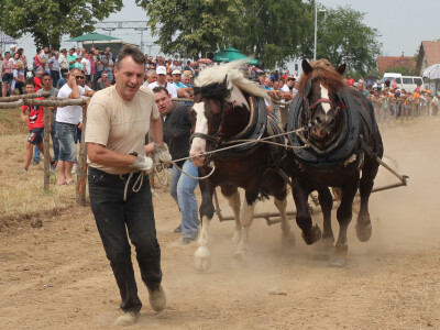 Vlasnici ponosni na svoja grla Vlasnici ponosni na svoja grla