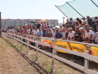 Štraparijada u Derventi 2023