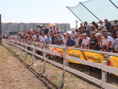 Štraparijada u Derventi 2023